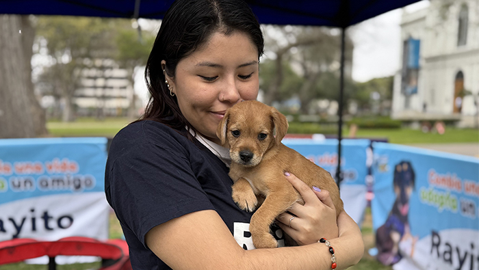 Más de 500 mascotas en adopción en Feria Mágica Navidad Peluda - 1