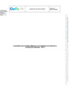 Vista preliminar de documento Lineamiento N° 001-2024-OEFA-GEG