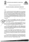 Vista preliminar de documento ROG-196-2024