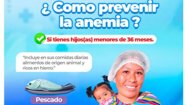 Archivo imagen de ¿Como prevenir la Anemia?