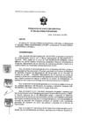 Vista preliminar de documento RESOLUCION D.E.  N° 005-2021-PMSAJ-EJENOPENAL