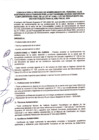 Vista preliminar de documento convocatoria nombramiento clas 728