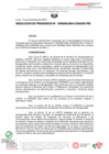 Vista preliminar de documento RESOLUCION DE PRESIDENCIA-D000242-2024-CONADIS-PRE