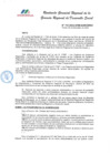 Vista preliminar de documento RGRDS 153-2024