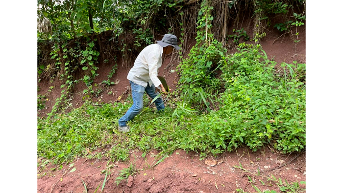 Ampliamiento de trocha carrozable en prolg. Putumayo, sector alto Tarapotillo - Ahuashillo, parte alta de Tarapoto.