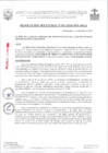 Vista preliminar de documento RJ181-2024-OGA