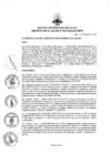 Vista preliminar de documento D.A. 022-2024