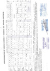 Vista preliminar de documento PROGRAMACIÓN DE ROLES_DICIEMBRE 2024