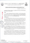 Vista preliminar de documento RJ185-2024-OGA