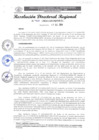 Vista preliminar de documento RDR N° 460