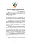Vista preliminar de documento RS_PCD_1342024