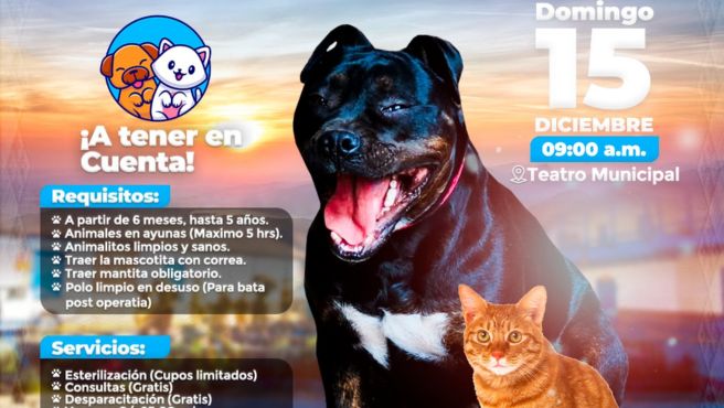 Archivo imagen de Campaña de Salud Canina y Gatuna en la Provincia de Paucartambo