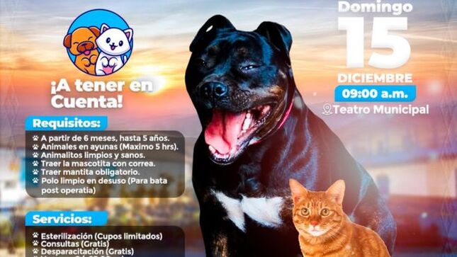 Archivo imagen de Campaña de Salud Canina y Gatuna en la Provincia de Paucartambo