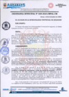 Vista preliminar de documento Nº 025-2024 Aprobar la ORDENANZA MUNICIPAL PARA LA REALIZACION DE LA FERIA NAVIDEÑA Y AÑO NUEVO 2024