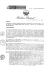 Vista preliminar de documento RD 261 DG 2024
