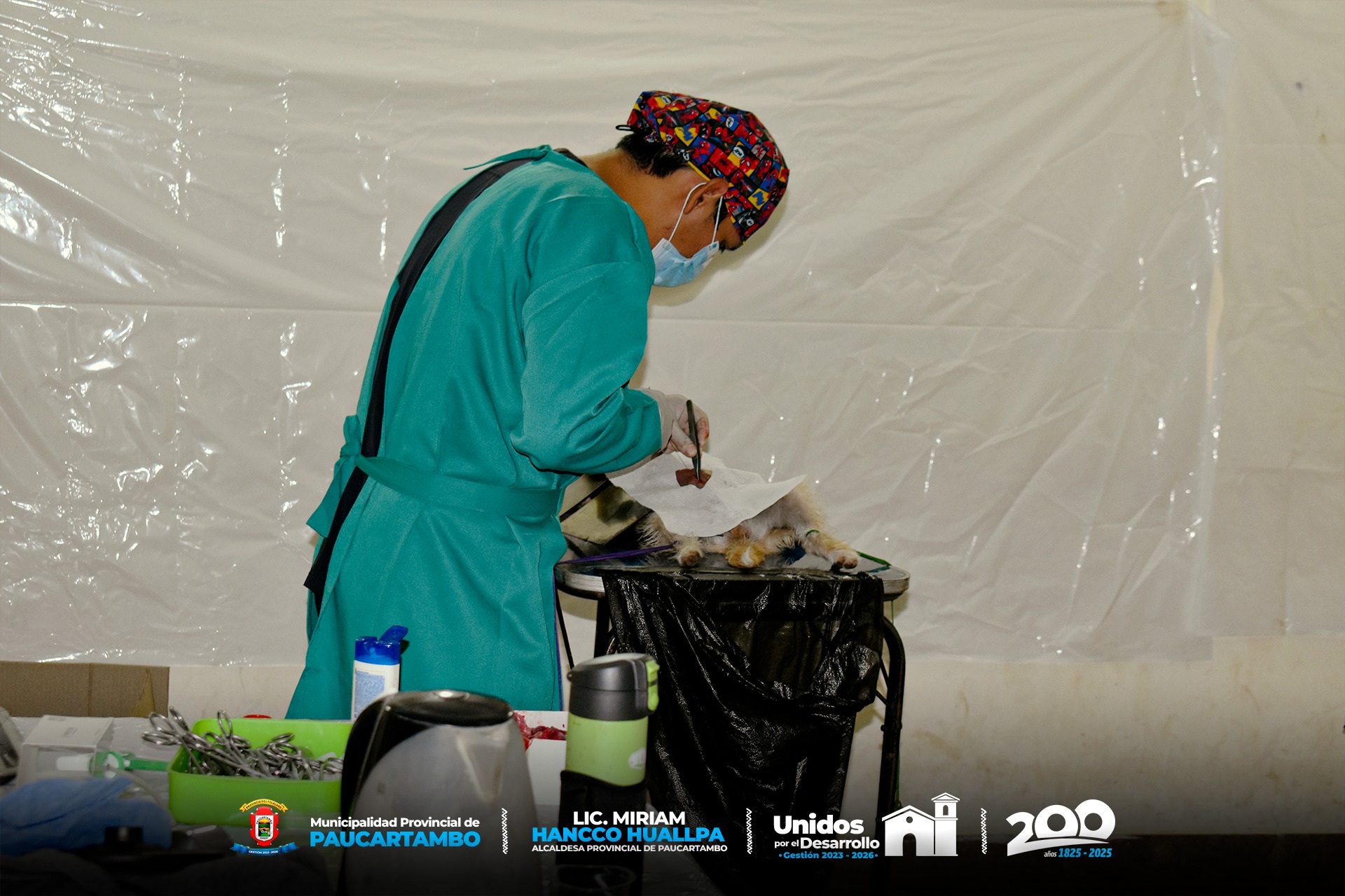 Archivo imagen de Exitosa Campaña de Salud Canina y Gatuna en la Provincia de Paucartambo