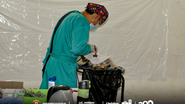 Archivo imagen de Exitosa Campaña de Salud Canina y Gatuna en la Provincia de Paucartambo