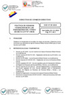 Vista preliminar de documento 01 2024-12-05 Directiva N° DCD-18-2024