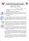 Vista preliminar de documento ORDENANZA MUNICIPAL N°13-2024