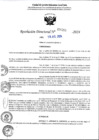 Vista preliminar de documento 4355