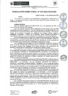 Vista preliminar de documento rd278-2024