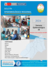 Vista preliminar de documento BOLETIN_2024_TUMBES-S38