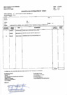 Vista preliminar de documento SC NºEM 4309
