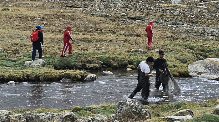 bioblitz nor yauyos