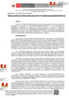 Vista preliminar de documento RDE300