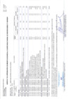 Vista preliminar de documento Anexo N° 06: Aprobación de Modificaciones al Cuadro Multianual de Necesidades N° 00000021