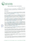 Vista preliminar de documento RD_2024_062