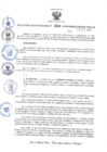 Vista preliminar de documento RES-650-2024-GR