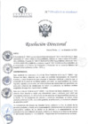Vista preliminar de documento RD N°391-12-2024-DE-HCLLH-MINSA