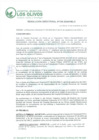 Vista preliminar de documento RD_2024_100