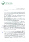 Vista preliminar de documento RD_2024_101
