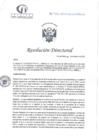 Vista preliminar de documento RD N°393-12-2024-DE-HCLLH-MINSA