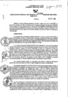 Vista preliminar de documento RGSR_2024_1288