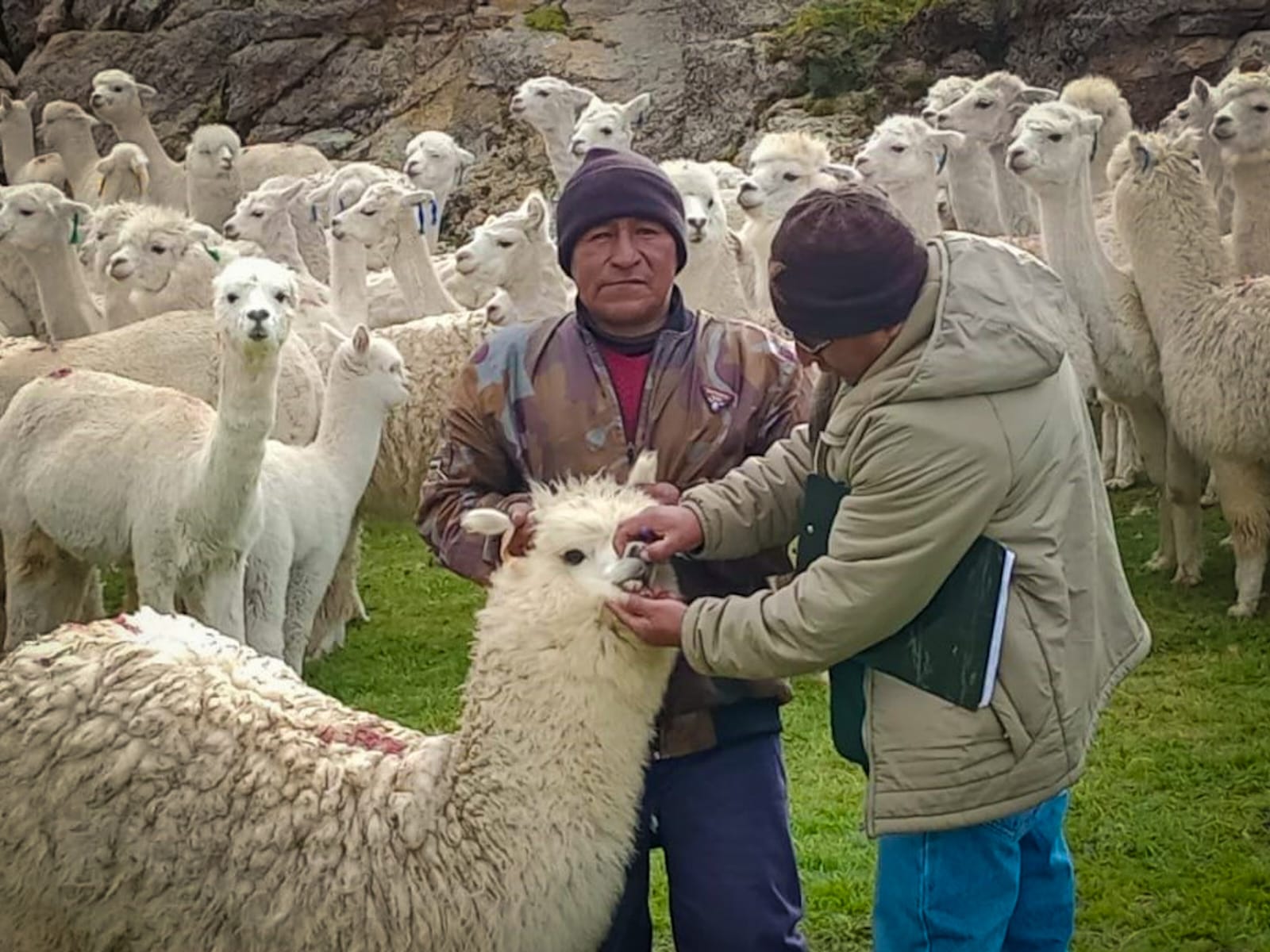 AGRO RURAL