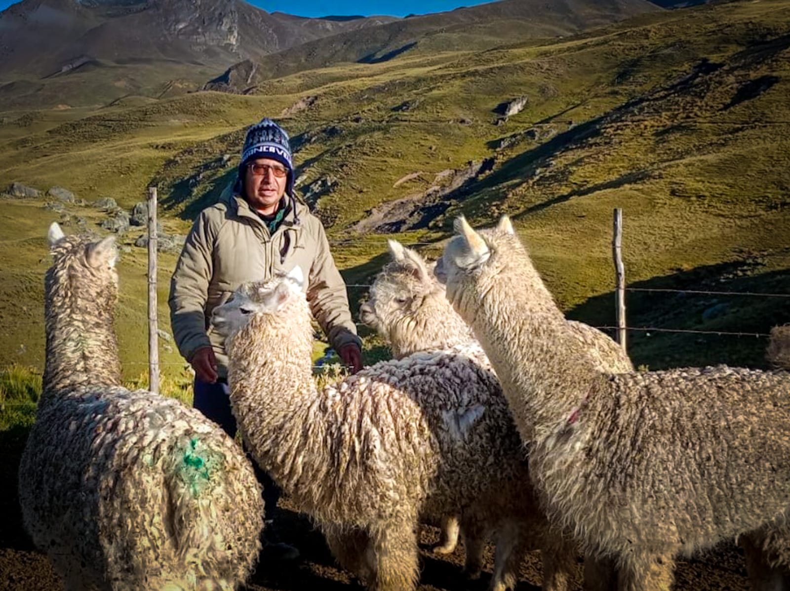 AGRO RURAL