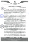 Vista preliminar de documento rgm601
