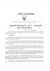 Vista preliminar de documento RD. 919-2024