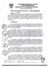Vista preliminar de documento RER0382-2024