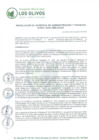Vista preliminar de documento RD_2024_0011_GAF