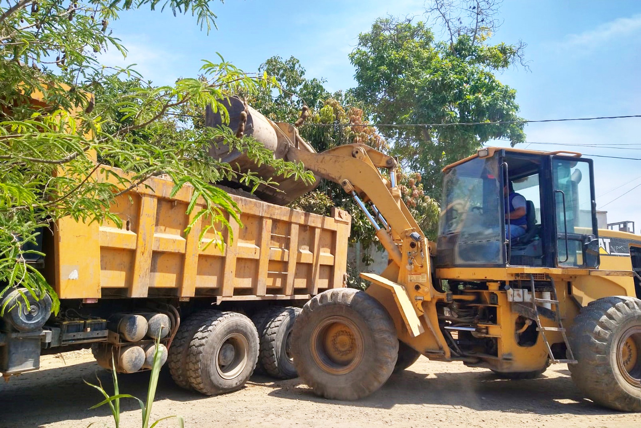 Avances en la limpieza de desmontes en Guadalupe