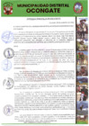 Vista preliminar de documento Ordenza Municipal N°009-2024-MDO-Q