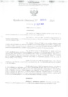 Vista preliminar de documento RD. 934-2024
