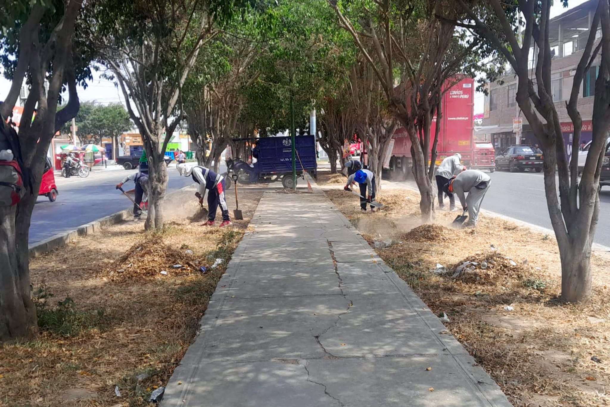 ¡Trabajos de Mejoramiento de Parques y Jardines!
