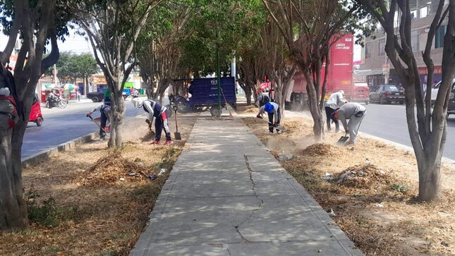 ¡Trabajos de Mejoramiento de Parques y Jardines! 