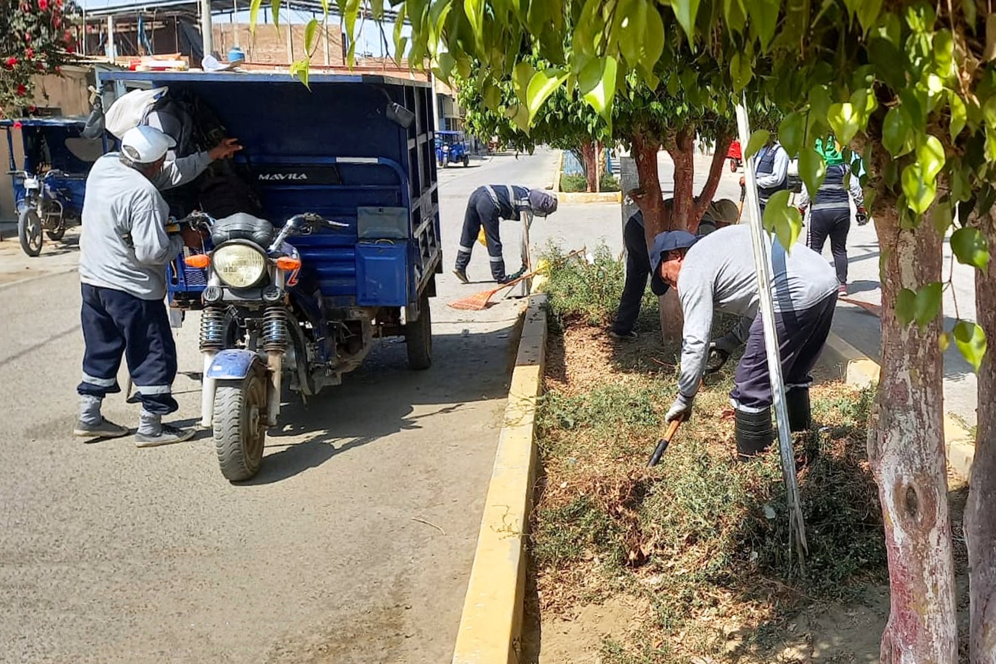 ¡Trabajos de Mejoramiento de Parques y Jardines!