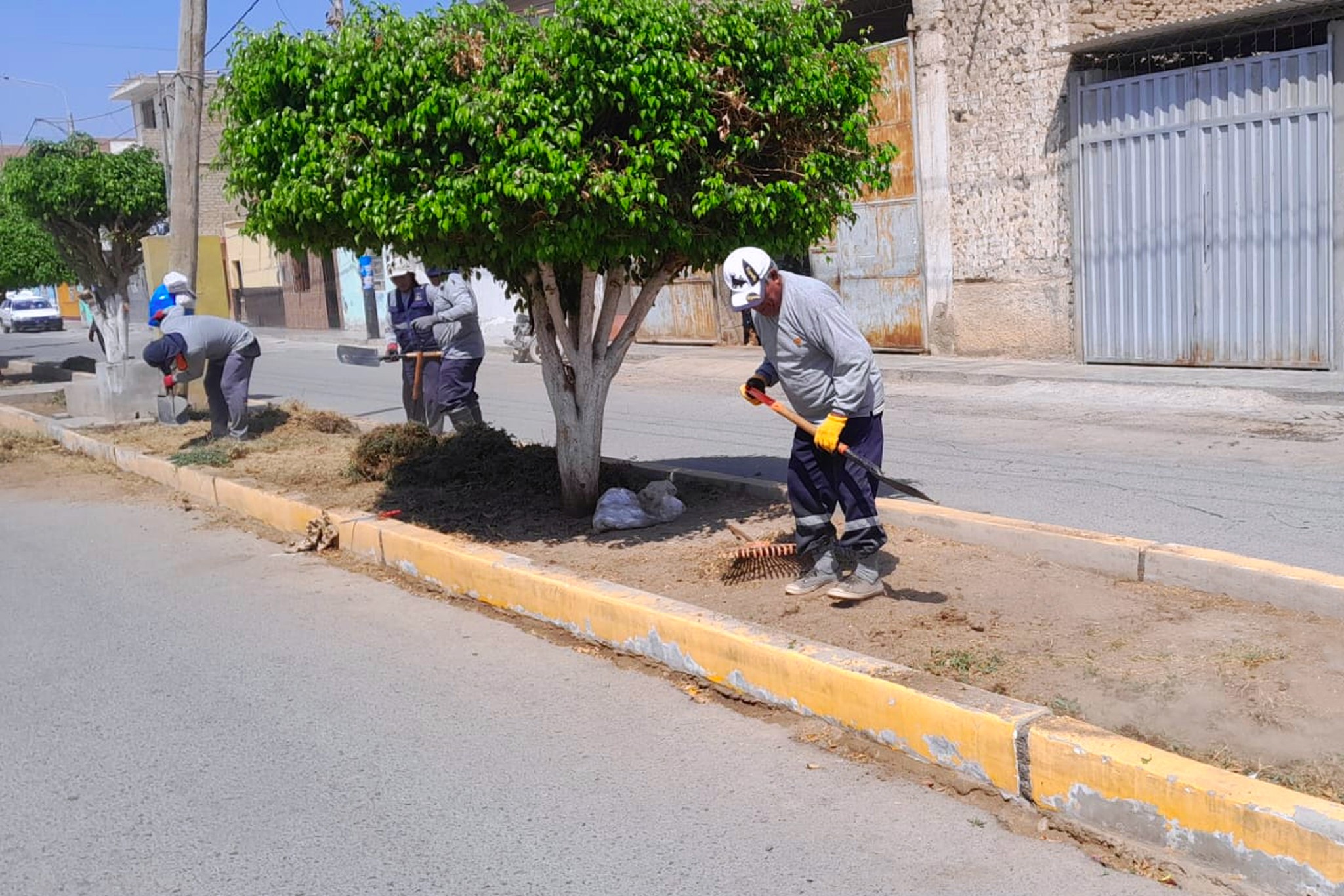 ¡Trabajos de Mejoramiento de Parques y Jardines!